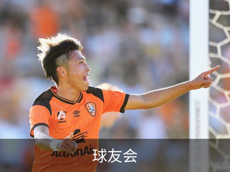 球友会简介